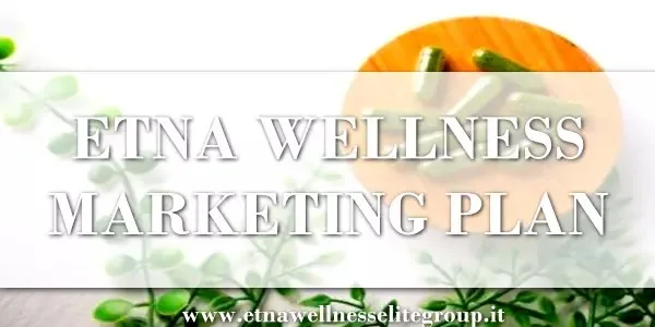 Etna Wellness Marketing Plan: Compensation Structure Explained